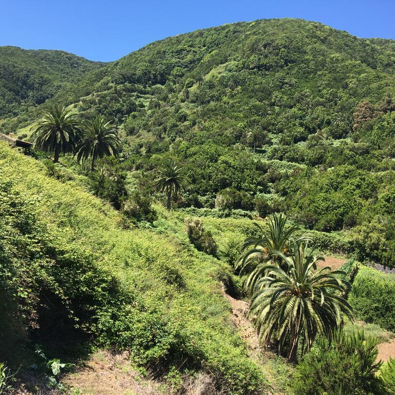 Casa Rural El Rincon De Antonia Agulo المظهر الخارجي الصورة