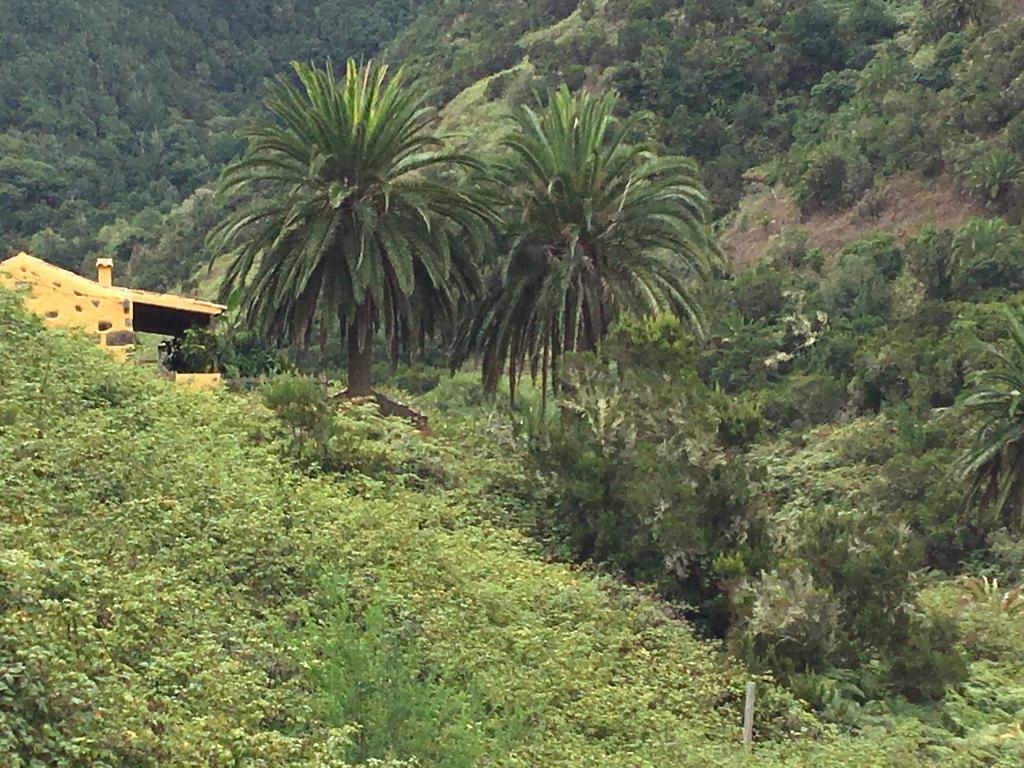 Casa Rural El Rincon De Antonia Agulo المظهر الخارجي الصورة