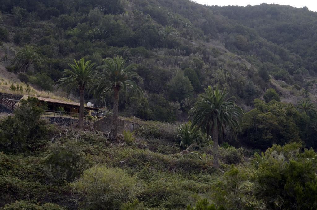 Casa Rural El Rincon De Antonia Agulo المظهر الخارجي الصورة