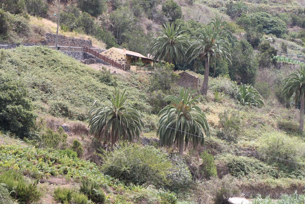 Casa Rural El Rincon De Antonia Agulo المظهر الخارجي الصورة
